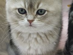 -万达广场(北京槐房店)