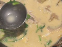 -望乡楼上海菜(日月光店)