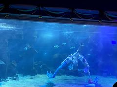 -石家庄海洋公园