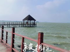 -瑶湖郊野森林公园