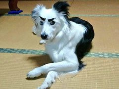 -莲湖山庄