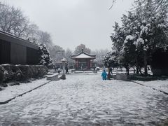 -大慈恩寺(大雁塔)