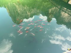 -山西通天峡景区