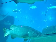 -福州罗源湾海洋世界旅游区