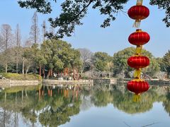 -无锡蠡湖国家湿地公园-蠡园