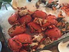 -视界美食自助餐厅·石家庄希尔顿酒店