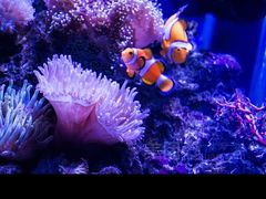 -太平洋海底世界