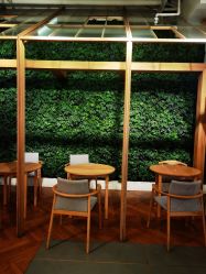 -悦诗风吟innisfree