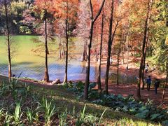 -广州市白云山风景名胜区