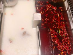 -海底捞火锅鲜切牛肉主题店(长寿路店)