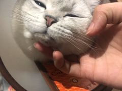 -宠颐生维康宠物医院(金丰店)