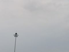 -双福水果批发市场