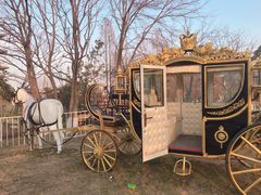 -祥源·阜阳生态乐园