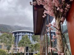 -中铁花水湾温泉酒店(大邑店)
