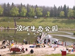 -洨河生态公园