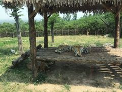 -西安秦岭野生动物园