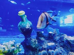 -华夏文旅海洋公园