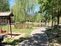 -杨柳青庄园