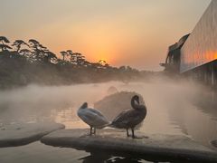 -罗红摄影艺术馆