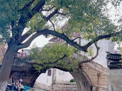 -观桥阁(锦溪店)