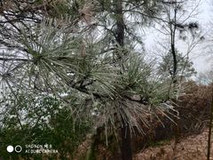 -敬亭山风景名胜区