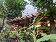 -婉泰·特色小吃·舂鸡脚(告庄二店)