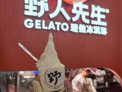 -野人先生现做冰淇淋(北京王府井东方新天地店)