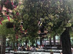 -The Grounds of Alexandria