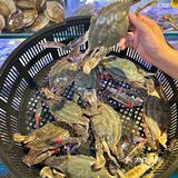 错过这顿海鲜盛宴，就要等上1️⃣整年
