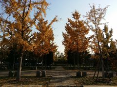 -永定门南广场