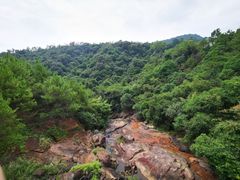 -广州白江湖森林公园