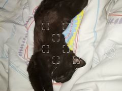 -北京恒爱动物医院(清景园分院)