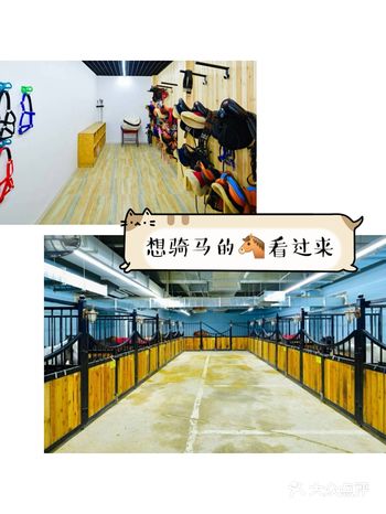 胆子大的孩子用总觉得其他运动项目满足不了他