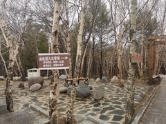 -白草畔自然风景区