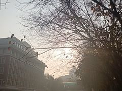 -海尔巴格一甸茶餐厅(团结路店)