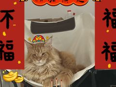 -帕帕拉兹宠物(亚洲旗舰店)