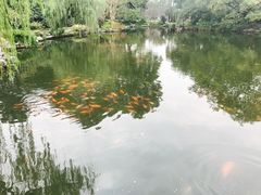 -西湖外事游船(花港观鱼码头)