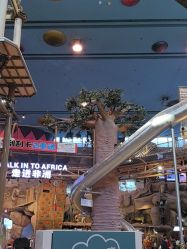 -卡通尼·Safari非洲探索乐园·生日会(金桥国际商业广场店)