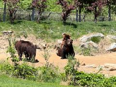 -北京野生动物园