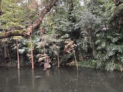 -广州兰圃
