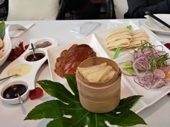 -梧桐