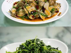 -亚龙湾海底世界