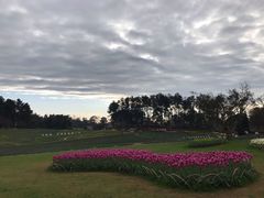 -保利石象湖景区