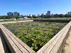 -莲花池公园