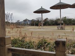 -宁波野生动物园