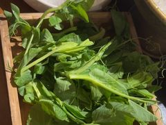 -巴奴毛肚火锅(广益哥伦布店)