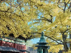 -红螺寺