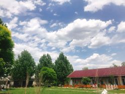 -萌宠亲子动物乐园(槐房万达店)