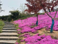 -石塘人家