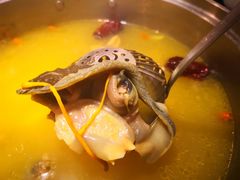 -丫丫汤膳打边炉(宏府408坊店)